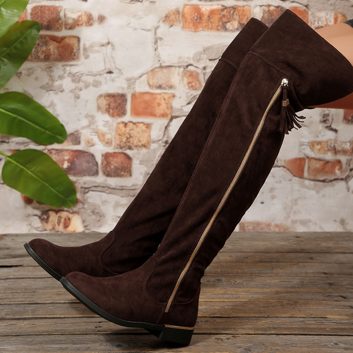 Tassel Zip Side Over The Knee Suede Boots